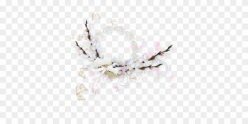 Spring, Bloom, Spring Flower, Nature, Flowers - Flower Spring, Bloom, Spring Flower, Nature, Flowers - Flower