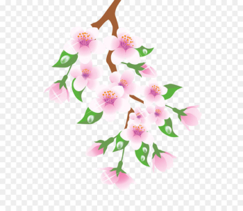 Spring Branch Clip art - Spring Branch Pink PNG Clipart Spring Branch Clip art - Spring Branch Pink PNG Clipart