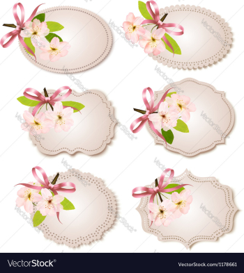 Spring cards with blossoming tree brunch with vector image Spring cards with blossoming tree brunch with vector image