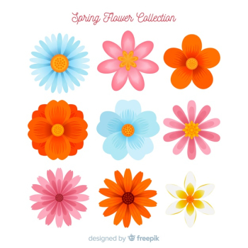 Spring flower collection