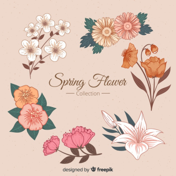 Spring flower collection