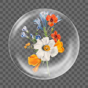 Spring flower png sticker,  | Free PNG - rawpixel