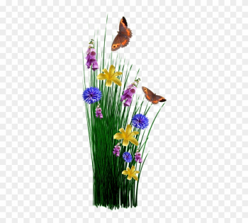 Spring, Flowers, Grass, Meadow, Plant, Garden, Nature - Aswb Supreme Decorative Butterfly And Flowers Welcome