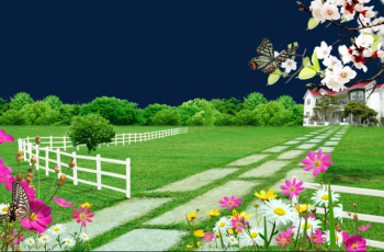 Spring Garden, Butterfly, Peach Blossom PNG and PSD File for Free ...