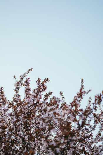 Spring is here! - Download Lightroom preset pack for free: https://bit.ly/2UgqLEJ
Download FREE wallpaper pack: https://bit.ly/2JOHWJk