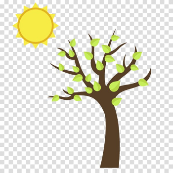 Spring sun leaves transparent background PNG clipart