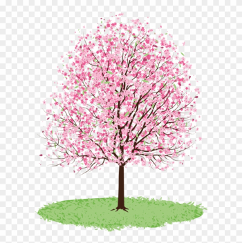 Spring Tree Cliparts - Cherry Blossom Tree Transparent