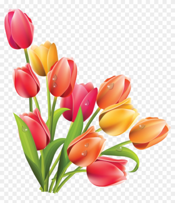 Spring Tulip Vector - Easter Flowers Clipart