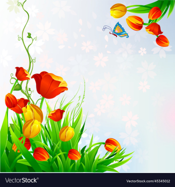 spring tulips spring tulips