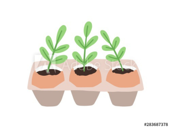 Sprouts or seedlings growing in pots or planters isolated on white background