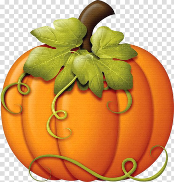 Squash , Autumn Pumpkin Thanksgiving , Hand-painted golden Great Pumpkin transparent background PNG clipart