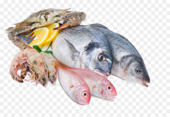 Squid as food Fish Seafood Meat - seafood Squid as food Fish Seafood Meat - seafood