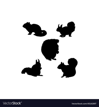squirrel set silhouette icon logo squirrel set silhouette icon logo