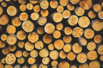 Stacked Wood Stacked Wood