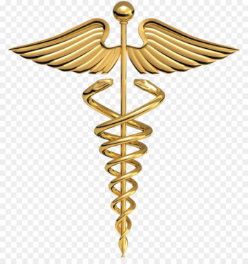 Staff of Hermes Caduceus as a symbol of medicine Caduceus as a symbol of medicine - Medical Logo 