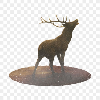 Stag, animal png sticker, animal, | Free PNG - rawpixel Stag, animal png sticker, animal, | Free PNG - rawpixel
