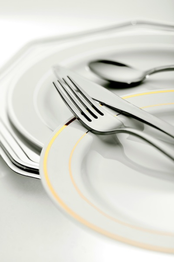 Stainless Steel Fork Stainless Steel Fork