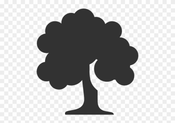 Stammbaum Der Familie Wojtusch - Tree Icon Png Stammbaum Der Familie Wojtusch - Tree Icon Png