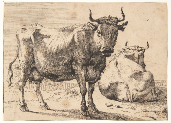 Standing and lying cow | Free Photo - rawpixel Standing and lying cow | Free Photo - rawpixel