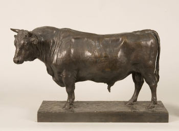 Standing bull | Free Photo - rawpixel Standing bull | Free Photo - rawpixel