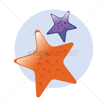 Starfish Starfish