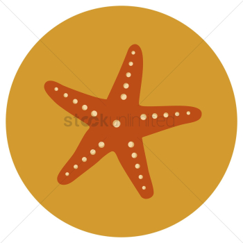 Starfish Starfish