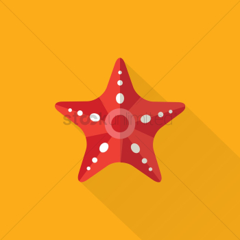 Starfish Starfish