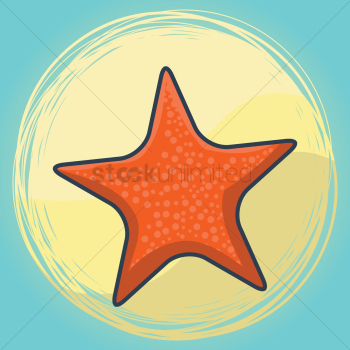 Starfish Starfish