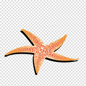 Starfish Animation, Yellow starfish transparent background PNG clipart Starfish Animation, Yellow starfish transparent background PNG clipart