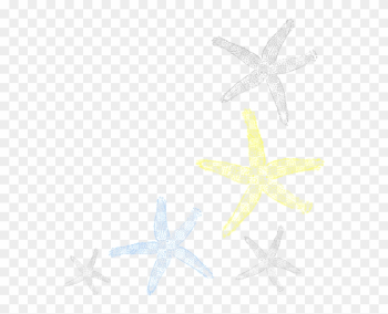 Starfish Border Starfish Border
