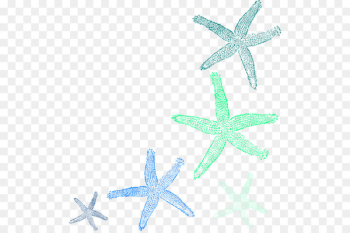 Starfish Clip art - watercolor seashell Starfish Clip art - watercolor seashell