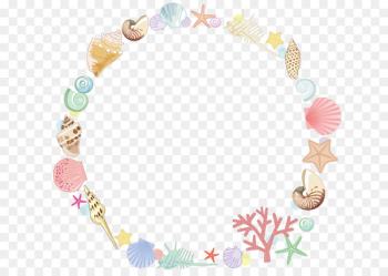 Starfish Drawing Seashell - Starfish Border Starfish Drawing Seashell - Starfish Border