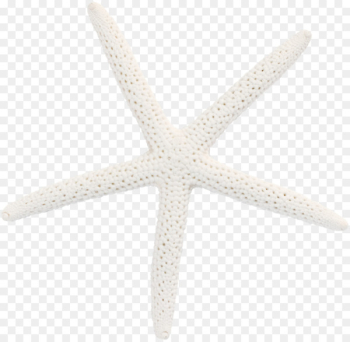 Starfish Pattern - White starfish Starfish Pattern - White starfish