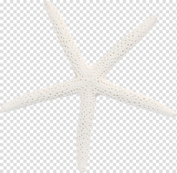 Starfish Pattern, White starfish transparent background PNG clipart Starfish Pattern, White starfish transparent background PNG clipart