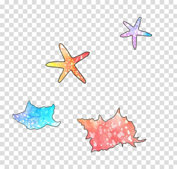 Starfish Pisaster ochraceus , Purple starfish transparent background PNG clipart Starfish Pisaster ochraceus , Purple starfish transparent background PNG clipart