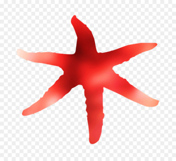 Starfish RED.M - Starfish RED.M -