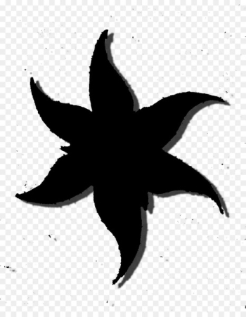 Starfish Silhouette Flower Leaf - Starfish Silhouette Flower Leaf -