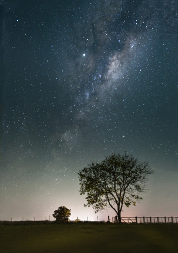 Starry Sky Starry Sky