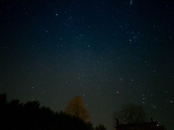 stars and forest stars and forest