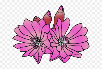 State Floral Emblem Of Montana - Montana State Flower Clipart State Floral Emblem Of Montana - Montana State Flower Clipart