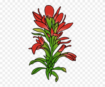 State Flower Of Wyoming - Indian Paintbrush Flower Clipart