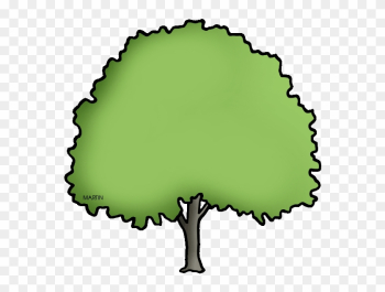 State Tree Of North Dakota - North Dakota State Tree State Tree Of North Dakota - North Dakota State Tree