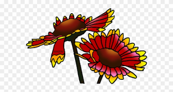 State Wild Flower Of Oklahoma - Indian Blanket Flower Clipart State Wild Flower Of Oklahoma - Indian Blanket Flower Clipart