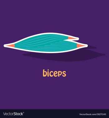Sticker biceps triceps - movement of the arm and vector image Sticker biceps triceps - movement of the arm and vector image
