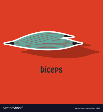 Sticker biceps triceps - movement of the arm and vector image Sticker biceps triceps - movement of the arm and vector image