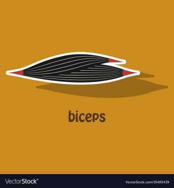 Sticker biceps triceps - movement of the arm and vector image Sticker biceps triceps - movement of the arm and vector image