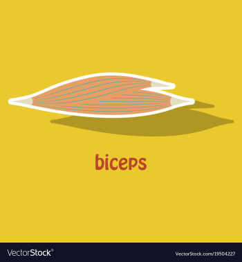 Sticker biceps triceps - movement of the arm and vector image Sticker biceps triceps - movement of the arm and vector image