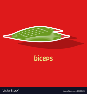 Sticker biceps triceps - movement of the arm and vector image Sticker biceps triceps - movement of the arm and vector image