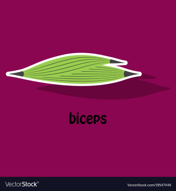 Sticker biceps triceps - movement of the arm and vector image Sticker biceps triceps - movement of the arm and vector image