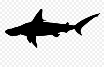 Sticker Decal Shark Clip art Tattoo -  